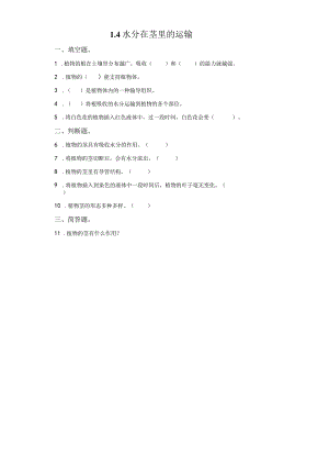 粤教版科学五年级上册4水分在茎里的运输练习.docx