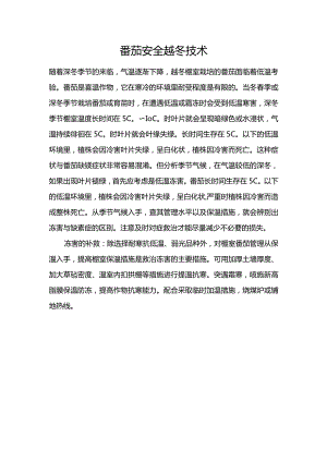 番茄安全越冬技术.docx