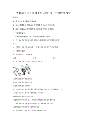 粤教版科学五年级上册2根对水分的吸收练习.docx