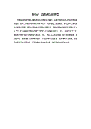 番茄叶面施肥注意啥.docx