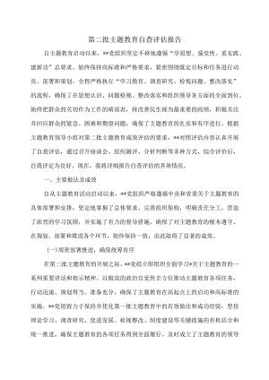 第二批主题教育自查评估报告.docx