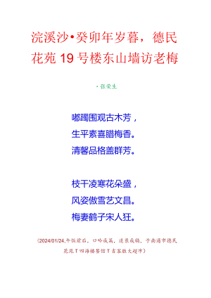 浣溪沙-癸卯年岁暮德民花苑19号楼东山墙访老梅.docx
