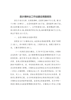 调研报告：乡镇林业工作站建设.docx