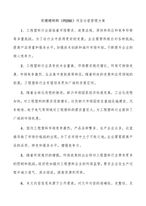 聚醚醚酮酮（PEEKK）项目运营管理方案.docx