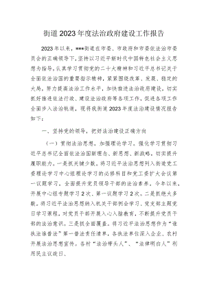 街道2023年度法治政府建设工作报告.docx