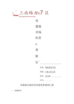 肯德基市场调查报告精要.docx