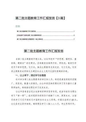 第二批主题教育工作汇报发言【3篇】.docx