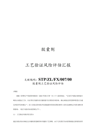 胶囊剂工艺风险评估与验证报告.docx