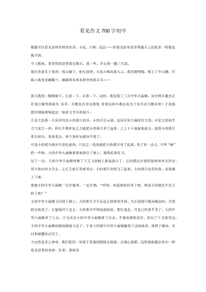 看见作文700字初中.docx