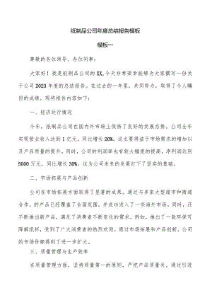 纸制品公司年度总结报告模板.docx