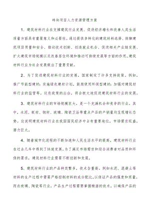 砖块项目人力资源管理方案.docx