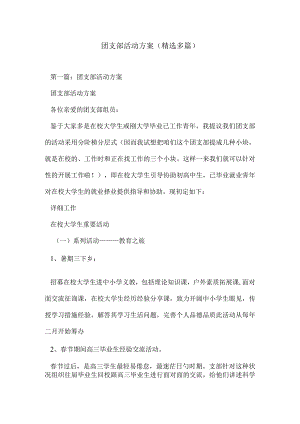 精选多篇团支部活动方案.docx
