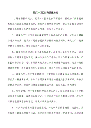 蔬菜汁项目财务管理方案.docx