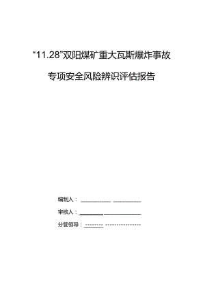 黑龙江龙煤双鸭山矿业有限责任公司双阳煤矿重大瓦斯爆炸事故专项风险辨识评估报告.docx