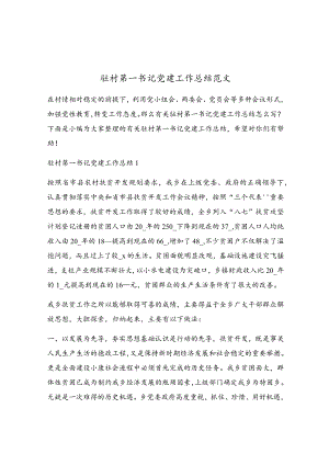 驻村第一书记党建工作总结范文.docx