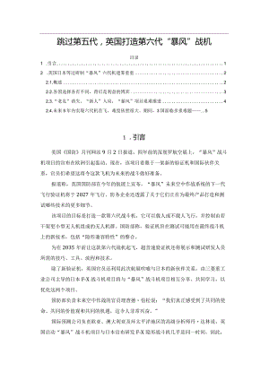 跳过第五代英国打造第六代“暴风”战机.docx