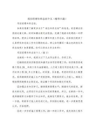 项目经理年终总结个人（精华六篇）.docx