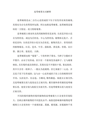 连萼瘦果名词解释.docx