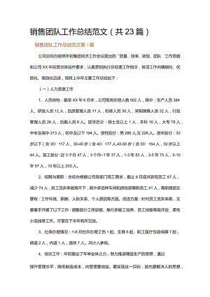 销售团队工作总结范文.docx