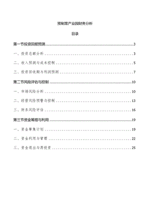 预制菜产业园财务分析.docx