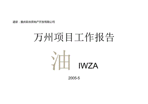 重庆万州地产项目工作报告2005.05.docx