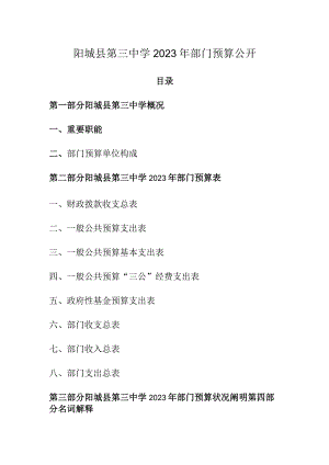 阳城第三中学部门财务公示.docx