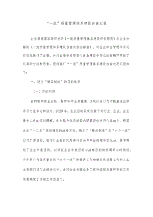 质量管理体系自查报告.docx