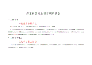 郑东新区商业项目调研报告.docx