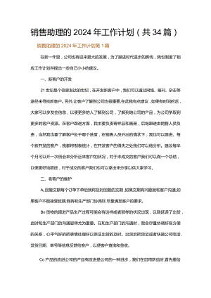 销售助理的2024年工作计划.docx