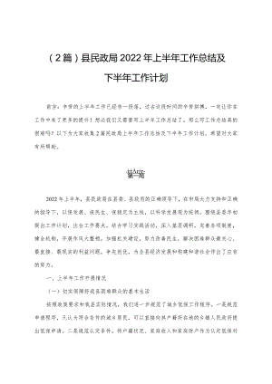 （2篇）县民政局2022年上半年工作总结及下半年工作计划.docx