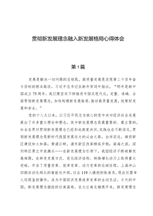 贯彻新发展理念融入新发展格局心得体会【5篇】.docx