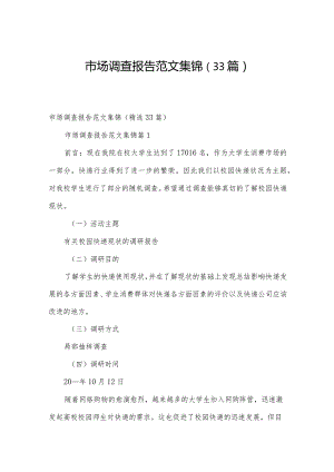 市场调查报告范文集锦（33篇）.docx