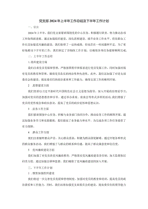 党支部2023年上半年工作总结及下半年工作计划.docx