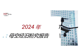 2024年低空经济研究报告.docx