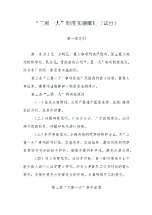 “三重一大”制度实施细则.docx