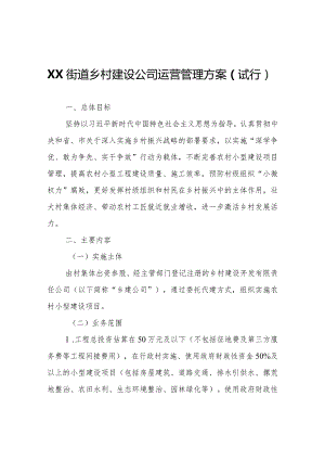 XX街道乡村建设公司运营管理方案（试行）.docx