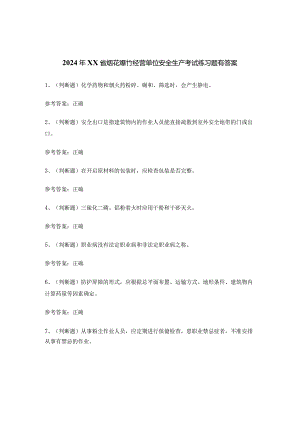 2024年XX省烟花爆竹经营单位安全生产考试练习题有答案.docx