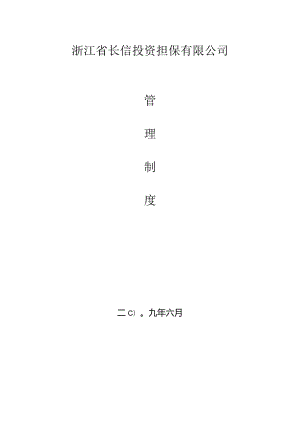 X投资担保企业制度范文范本.docx