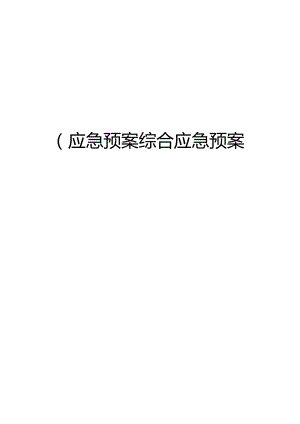(应急预案)综合应急预案-针织制衣工厂.docx
