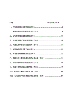 001现场处置方案范本.docx