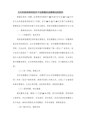 文化和旅游局党组关于巡察整改进展情况的报告.docx