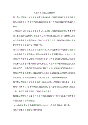 大型游乐设施的安全管理.docx