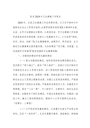 X县2024年卫生健康工作要点.docx