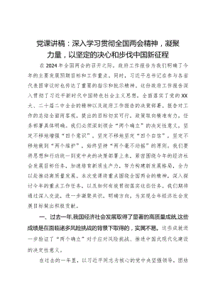 党课讲稿：深入学习贯彻全国两会精神凝聚力量以坚定的决心和步伐中国新征程.docx