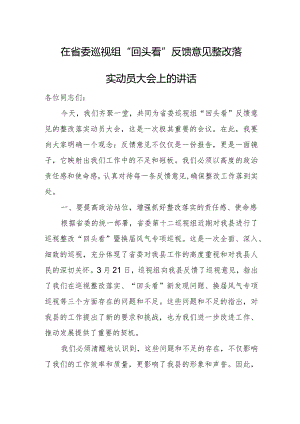 在省委巡视组“回头看”反馈意见整改落实动员大会上的讲话.docx