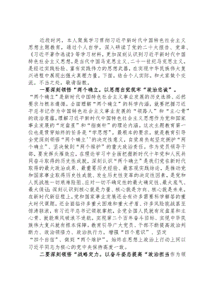 2024年度主题教育专题读书班上的研讨发言提纲.docx
