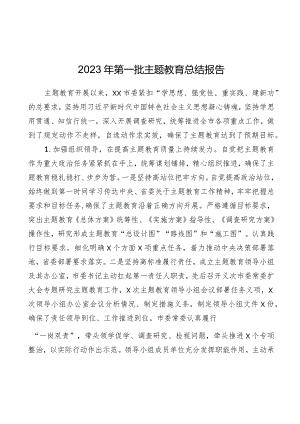2023年第一批主题教育总结报告5篇.docx