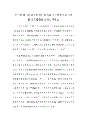 学习新时代推动中部地区崛起座谈会重要讲话扎实推进乡村全面振兴心得体会.docx