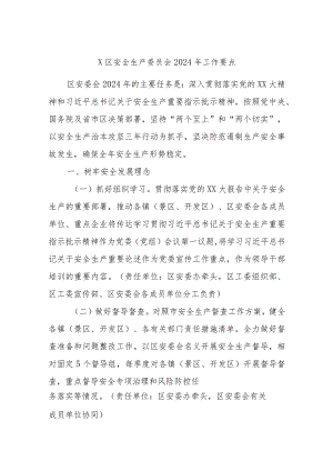 X区安全生产委员会2024年工作要点.docx
