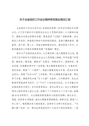 2024年全省组织工作会议精神贯彻落实情况汇报.docx